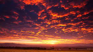 By applying these sunset sky overlays in photoshop, gimp, creative cloud, paint shop pro, you can give a romantic feel to your photos and make them more unique. Sunset Sky Photos High Resolution Sunset Sky Background 1920x1080 Wallpaper Teahub Io