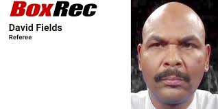 BoxRec: David Fields