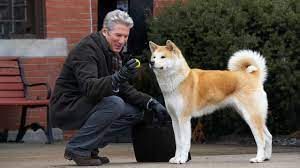 Hachiko a dogs story : Hachi A Dog S Tale Netflix