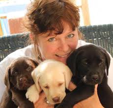 Don't miss what's happening in your neighborhood. Labrador Retriever Breeders Near Aguadilla Puerto Rico