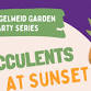 Succulents at Sunset