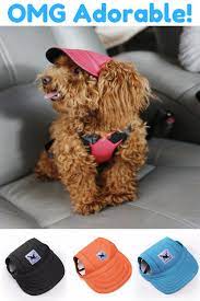 Super Cute Dog Hat Dog Hats Dog Hat Pattern Dog Hats Diy Dog Hat Pattern Sewing Dog Hat Crochet Dog Hats And Super Cute Dogs Diy Dog Stuff Dog Hat