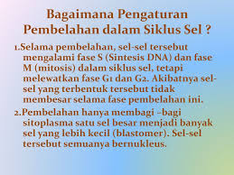 Sel tumbuhan dan sel hewan memiliki membran plasma. Pembelahan Sel Pada Katak Ppt Download