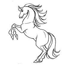 تعلم رسم حصان تعلم الرسم ببساطة تعلم الرسم تعلم الرسم للمبتدئين تعلم الرسم بقلم الرصاص تعلم الرسم للأطفال تعلم الرسم خطوة art drawings art drawings