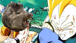 Regardless, it is hard to deny that the voices of the funimation dub aren't the first ones the english fanbase thinks of when concerning dragon ball z. Dragon Ball Z Abridged Puts Hilarious Twist On Feral Hogs Meme