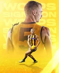 Jasper bruce nca newswire june 7, 2021 7:13pm 16 James Worpel Ideas In 2021 Hawthorn Football Club Hawthorn Football James