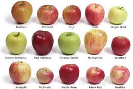 All About Apples Food Fruit Recipes Tips