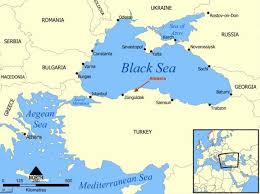 Amasra geziniz için aradığınız her şeye amasra.com.tr'den ulaşabilirsiniz. 350 Org It S Been 12 Years 180 Trees And Amasra Will Not Yield