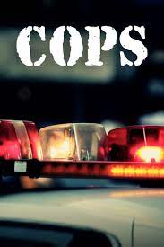 Watch Cops Online Season 33 2020 Tv Guide