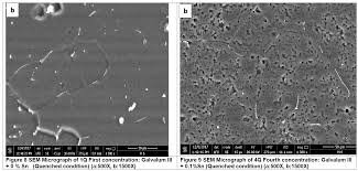 Image result for alloy edx micrograph