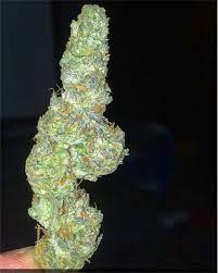 Our website uses cookies to perform statistics and analysis, to maintain the operation of the. Updated 2021 Fortune Cookies Aka Fortune Cookie Weed Strain Information Leafly