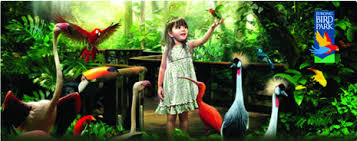 Book online, pay at the hotel. Jurong Bird Park Singapore City Pass