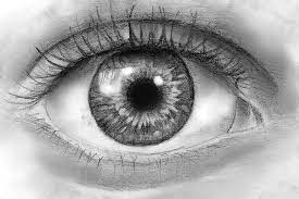 How To Draw Eye Drawing Realistic Eye Drawing Realistic Eye
