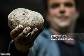 835 Kort Ned Photos & High Res Pictures