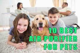 Let's get right to the best air purifiers for pet hair. Best Air Purifier For Pets In 2020 With Full Reviews Buying Guides