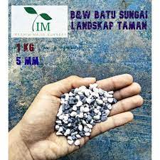 Pemulung to billionaire!dulunya seorang pemulung, kini paidi merupakan miliarder dari hasil bisnis tanaman porangpaidi mulai fokus di bisnis porang sejak tah. 1kg 5mm Black And Whitepebble Wash Stone Garden Stone Landscape Batu Sungai Landskap Taman Hitam Putih Shopee Malaysia