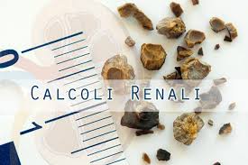 Questo paragrafo intende pertanto rispondere all' annoso interrogativo: Calcoli Renali Cosa Mangiare Per Prevenirli Forumsalute It