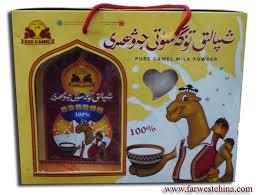 Having exposed you to various benefits associated with camel milk, explaining how the product tastes like is handy for newbies inspired to try it for its benefits. Healing With Camel Milk Natural Health With The Camel Milk