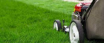 Hankmowerrepair Virginiabeach Va Lawn Services Mowing Lawn Care Lawn Maintenance