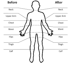 21 Day Fix Schedule Google Search Body Measurement Tracker Body Chart Body Measurement Chart
