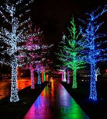 9 Amazing Winter Tree Lights Decoration Ideas Hanging Christmas Lights Christmas Lights Outdoor Christmas Lights