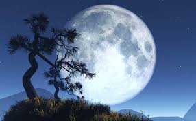 Image result for pemandangan  bulan