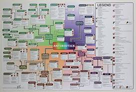 74 Actual Antibiotic Chart Sanford