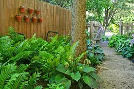 Image Result For Fern Garden Design Shade Garden Garden Planning Garden Pictures