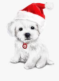 Christmas dog vector cute cartoon puppy characters illustration couple pets doggy different xmas celebrate poses in santa red hats. Merry Christmas Dog Christmas Time Merry Christmas Dog Christmas Pictures Christmas Watercolor