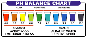 Alkaline Water System Health Is In