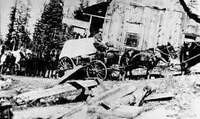 Nez Perce-Clearwater National Forests