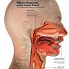 You will feel slight pressure, and with time learn how to isolate your diaphragm. 1