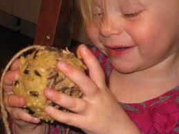 Ayyam-i-Ha Craft: Make a Bird Feeder