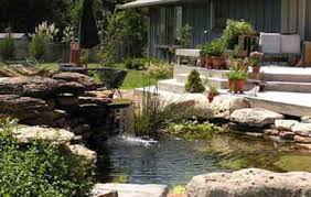 Small swimming pool at night. How Big Or Small Can A Natural Swimming Pool Be Total Habitat