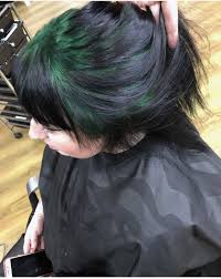 Pin By Amanda Watkinson On Hair I Want Hair Streaks Hair Color For Black Hair Hair Inspiration