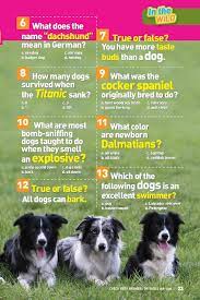 According to different studies, dogs can help their owners need fewer physician visits and boost life expectancies. National Geographic Kids Quiz Whiz 6 1 000 Super Fun Mind Bending Totally Awesome Trivia Questions Book Review And Ratings By Kids National Geographic Kids Page 4