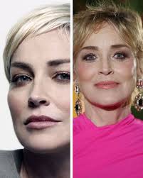 Sharon Stone is an acclaimed American actress and producer, born