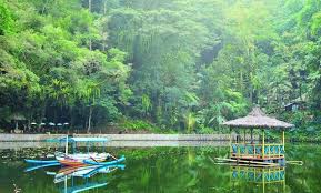Waduk gunung rowo merupakan sebuah waduk yang terletak di desa sitiluhur, kecamatan gembong. Telaga Rowo Bayu Banyuwangi Destinasi Wisata Yang Hits Setelah Viralnya Kisah Kkn Desa Penari