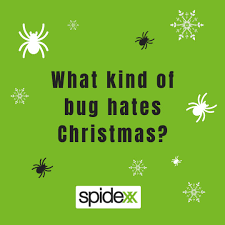 Learn what to consider before hiring one. Spidexx Pest Control Spidexxpest Twitter