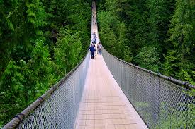 We did not find results for: 21 Best Things To Do In Vancouver Right Now