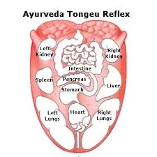 tongue reflex tongue health ayurveda ayurveda yoga