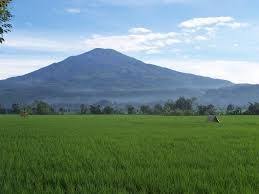 Image result for dataran rendah