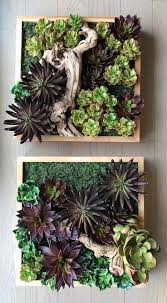 Boxed Succulent Wall Art Decor Boxed Succulent Wall Art Decor Etsy The Post Boxed Succulent Wall Succulent Wall Planter Succulent Wall Succulent Wall Art
