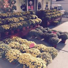 Delivering fresh flowers and uniquely arranged designs to brooklyn, new york and beyond. Photos At Unique Flowers Sheepshead Bay Brooklyn Ny