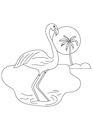 Flamingos are very well known birds, but they are not born pink, rather they turn pink due to the influence of astaxanthin in the food they eat. Flamingo On A Small Island Coloring Page Free Printable Coloring Pages For Kids