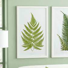 Original artwork by jason mernick. Perennial Fern Print English Wisteria