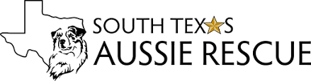 Registered/registerable, current vaccinations, veterinarian examination, health certificate, health guarantee, pedigree. Home South Texas Aussie Rescue