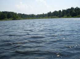 Система карстовых озер (шишовское, подборное, черепаха) около д. My Edem Edem Edem