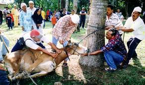 Hari raya aidiladha (bahasa arab: Eid Al Adha Faq Wonderful Malaysia
