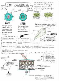 We did not find results for: Plant Organisation Gcse Aqa Biology Teaching Resources